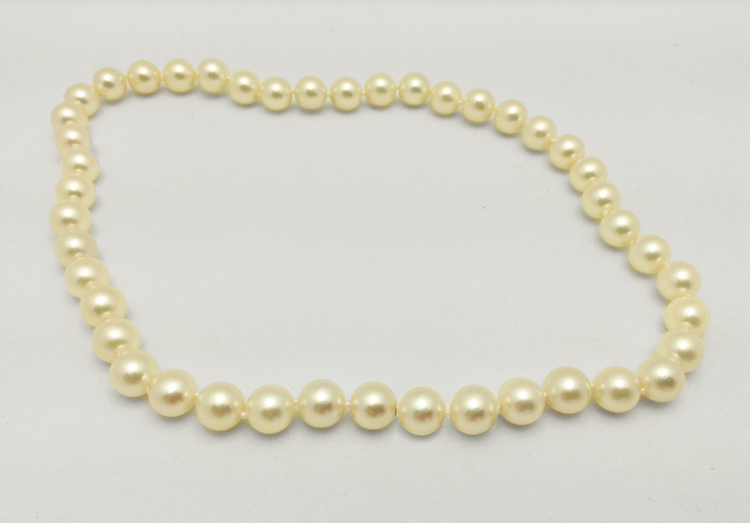 Cultured Akoya Pearl Necklace with Mystery Clasp