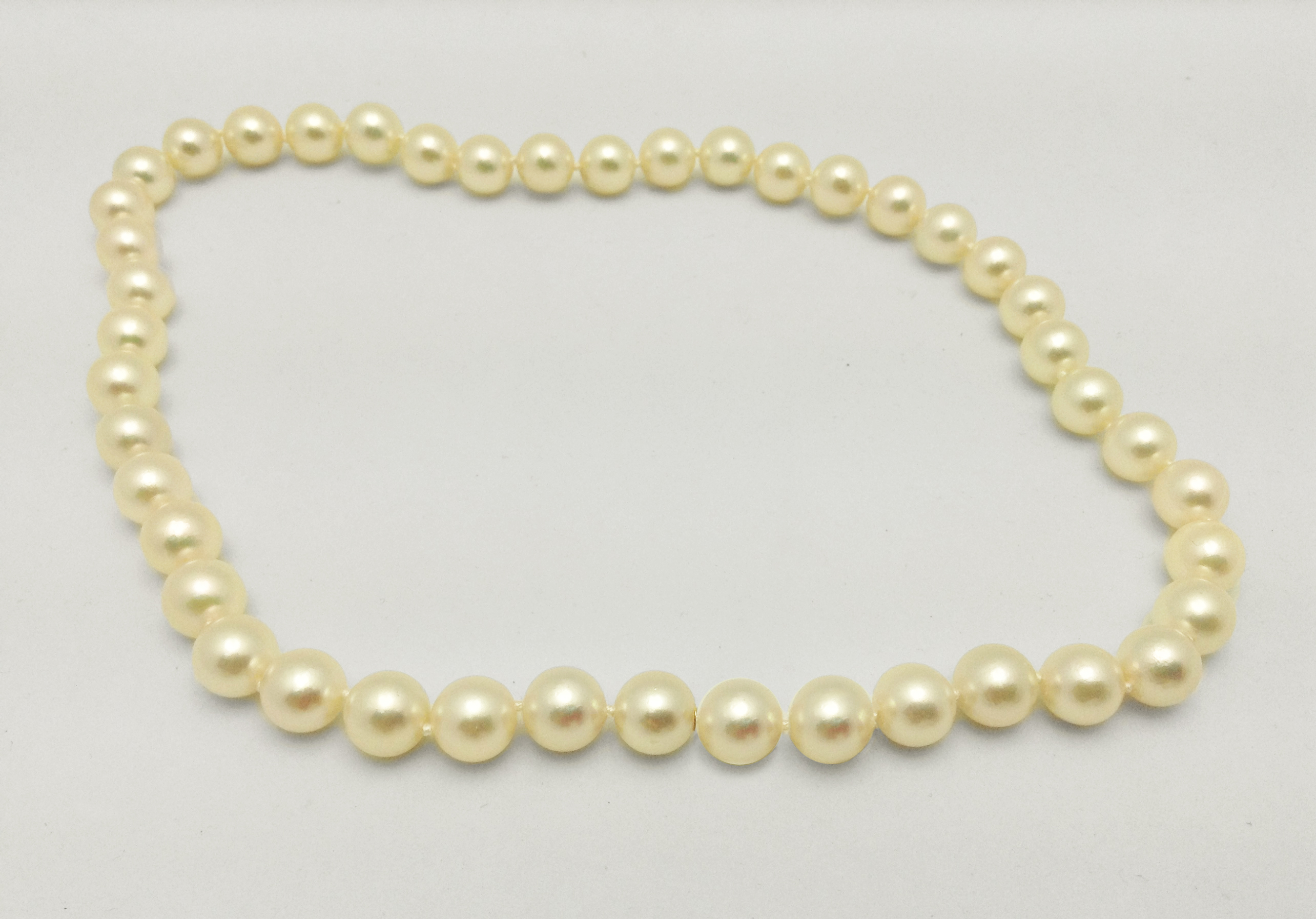 Cultured Akoya Pearl Necklace with Mystery Clasp