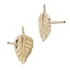 Gold Filled Yellow 10mm Leaf Stud Earring