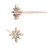 14K Gold Rose 6mm Compass Star Stud Earring with Diamonds