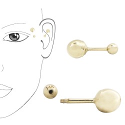 14K Gold Straight Barbell with Screw Ball