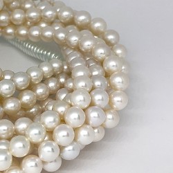 6.5-7.5mm White Round Nucleated Freshwater Pearl