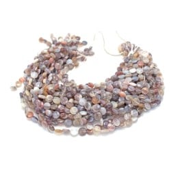 Coin Botswana Agate Faceted Agate Beads by Strand